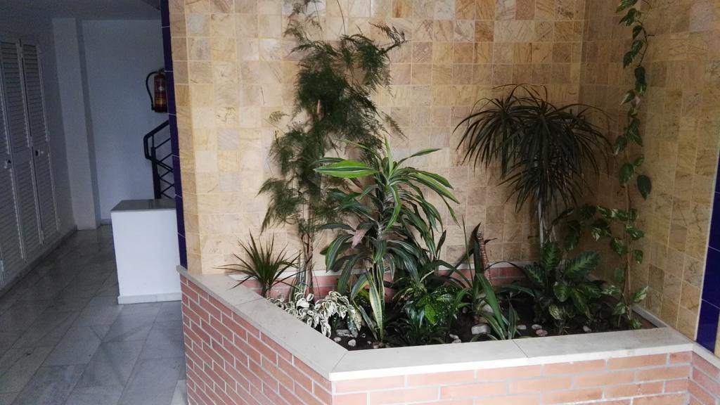 Fan Flat Eugenio (Adults Only) Daire Málaga Dış mekan fotoğraf